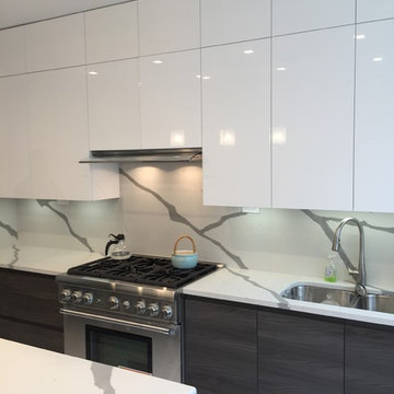 Two Tone Kitchen in New York City Appartment
