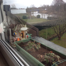 Wohnung am Curslacker Deich 147 / Hamburg Curslack