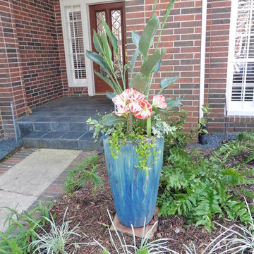 Front Yard Project in Spring Valley Village, Texas