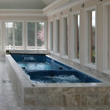 Swim Spa