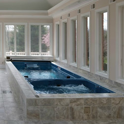 Endless Pools - 19' Dual Zone Endless Pool&reg; Swim Spa Series - Hot Tub And Pool Supplies