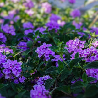 Stilmix Garten in Phoenix