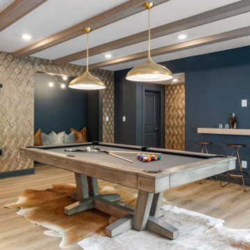 Aldie, VA, Basement Bar and Wine/bourbon room.