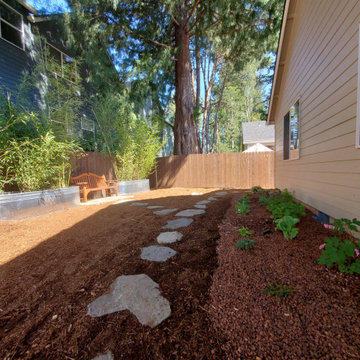 Patio under the Redwood Tree