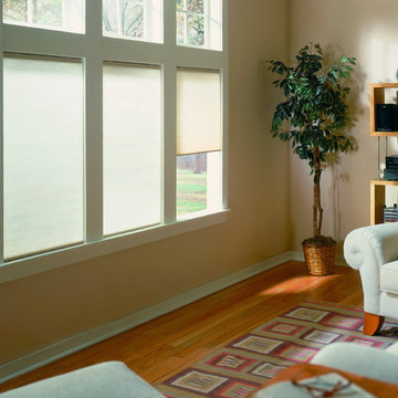 Roller Shades