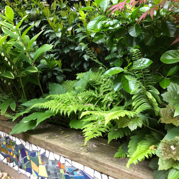 shade garden