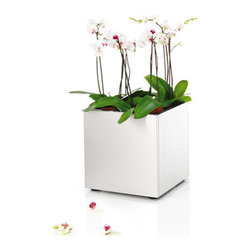 Blomus 65234 Greens Planter with Flexible Plastic Liner - Products