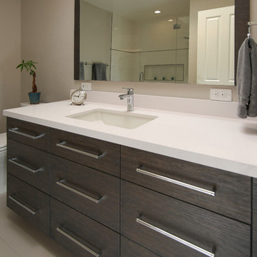 Contemporary Master and Hall Bath Remodel