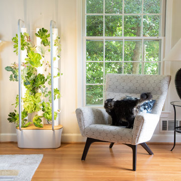 Gardyn in the Living Room