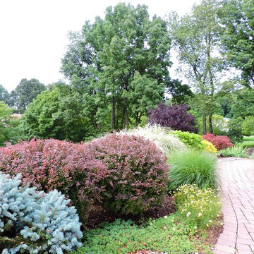 Planting Schemes