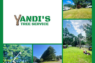 Yandi's Tree service 13