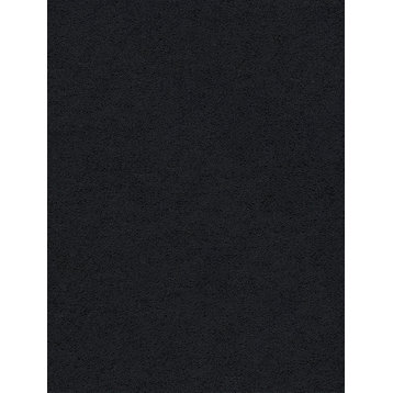 Alana Transitional Solid Shag Dark Gray Rectangle Area Rug, 8' x 10'