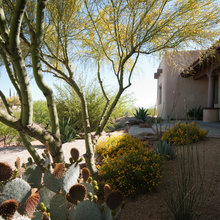 Arizona Landscape