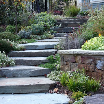 Stepping Stone Stairs with Grasses and Groundcovers