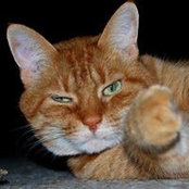 Foto de Loretta Opes