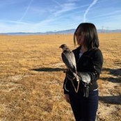 Maisie Yang's photo