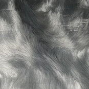 G. As.'s photo