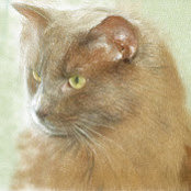 maryann dolbeare's photo