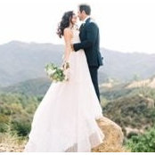 Alisa Lebovitz's photo