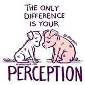Vicki Monroe's photo