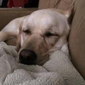 Clare Okolotowicz's photo
