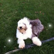Sandi Beckett's photo