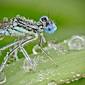 Galina David's photo