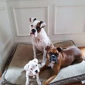 Marisela Payet's photo