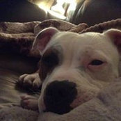 Bernadette Gosse's photo