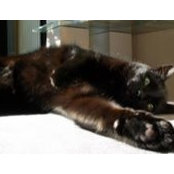 Vivian Lukat's photo