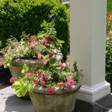 Outdoor Speakers