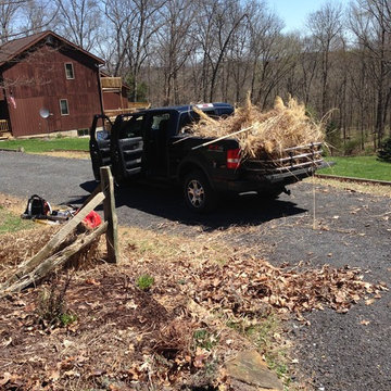 Spring Clean-up
