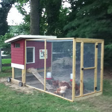 Chicken Coop Ideas