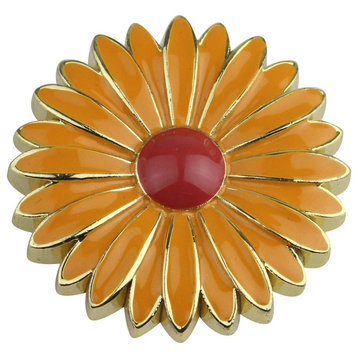 Aster Cabinet and Furniture Knob, Apricot With Red-orange