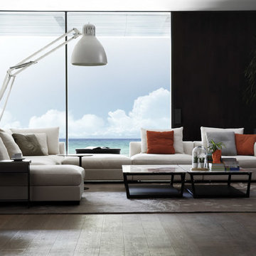 Modern Living Room