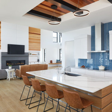 Cedar Lake Modern