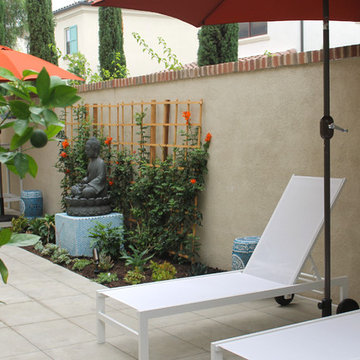 Contemporary Courtyard