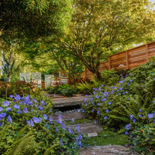 Outdoor Landscaping/plant choices