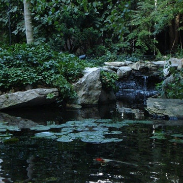 Water Features