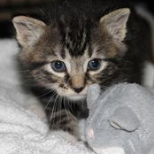 Jen Durgan's photo