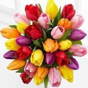 Fane Mboya's photo