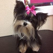 Kelly Cradic's photo