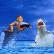 Foto von Bryce Hayes