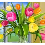 Linda Saunders Bashur's photo