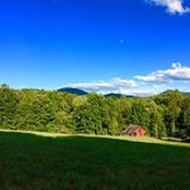 Kathy Dobson's photo