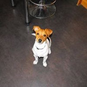 Tracey Gladman's photo