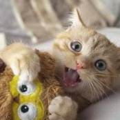 Елена Кудюкова's photo