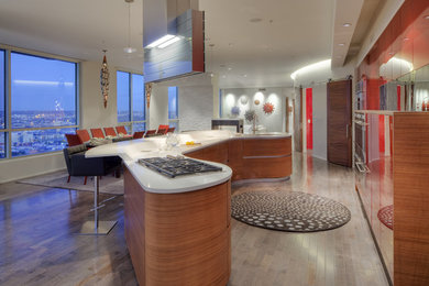 Kitchen - contemporary kitchen idea in Denver