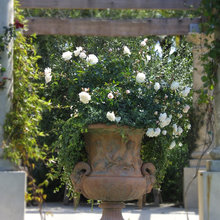 Garden Pots