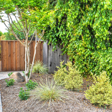 Suburban Beautification